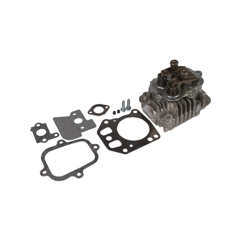 Briggs And Stratton Cylinder Head