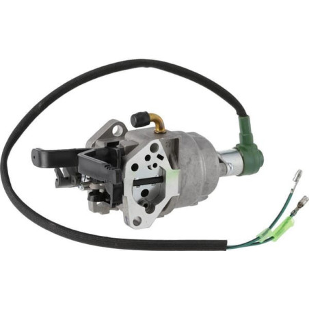 Carburateur Briggs et Stratton - 799773