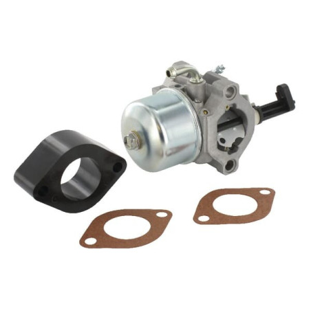 Carburateur Briggs et Stratton - 715783