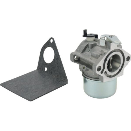 Carburador Briggs y Stratton - 690119