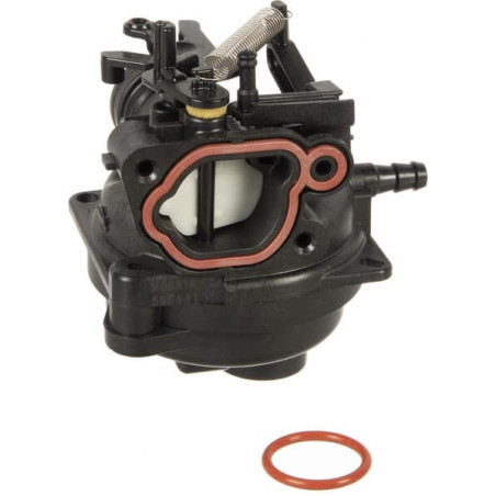 Carburateur Briggs et Stratton - 596252