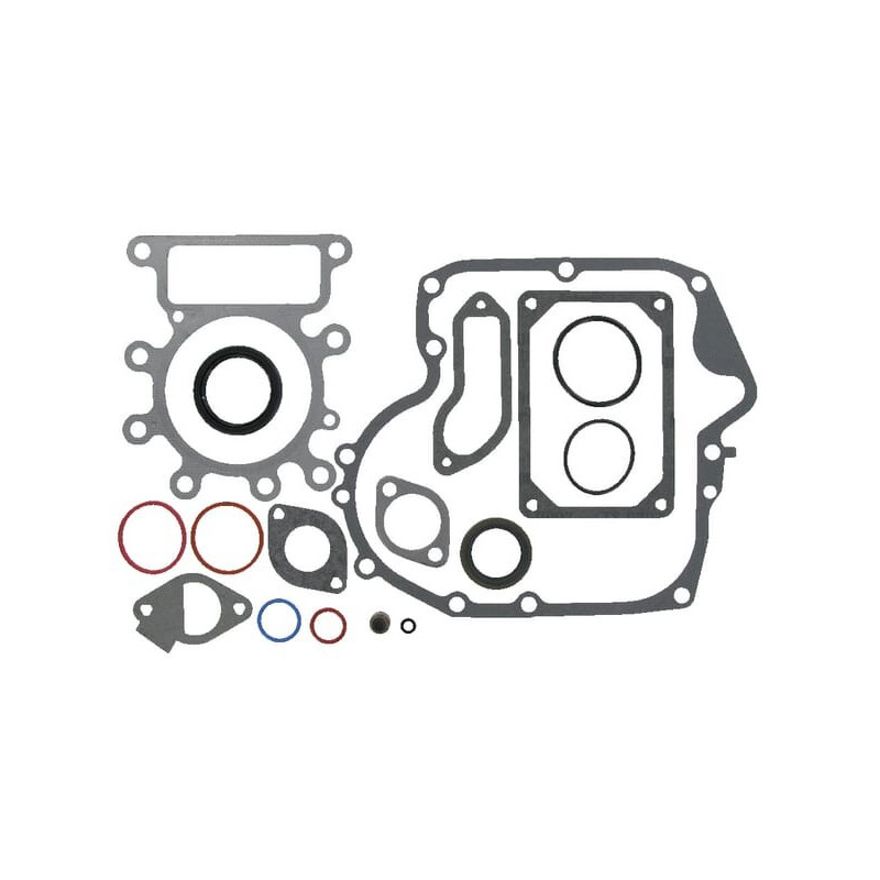 Kit guarnizioni motore Briggs e Stratton - 799952