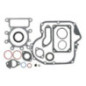 Kit guarnizioni motore Briggs e Stratton - 799952