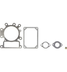 Kit de juntas Briggs y Stratton - 794152