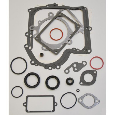 Kit guarnizioni Briggs e Stratton - 690189