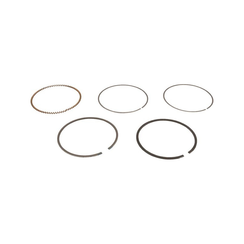 Kit de segments Briggs et Stratton - 843806