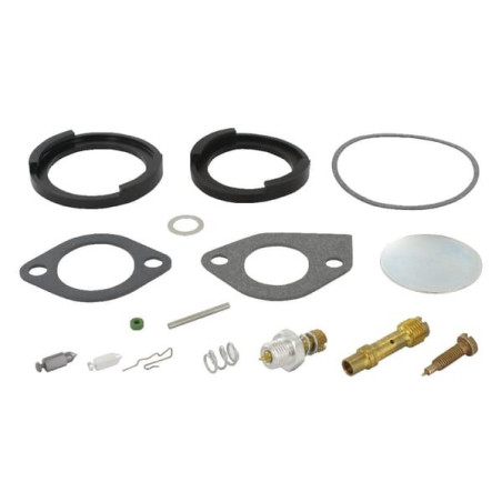 Kit de réparation carburateur Briggs et Stratton - 394698