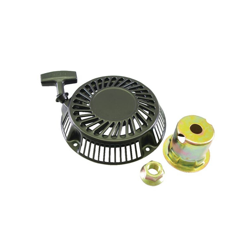 Lanceur Briggs et Stratton - 808153