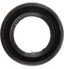 Sello de labios Briggs and Stratton - 710103