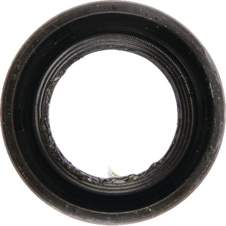 Sello de labios Briggs and Stratton - 710103