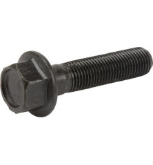 Briggs und Stratton Bolt – 701197YP