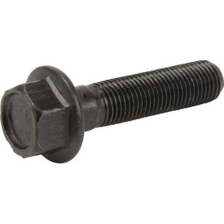 Briggs und Stratton Bolt – 701197YP