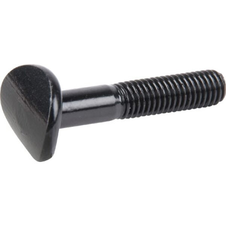 Briggs und Stratton Bolt – 701250YP