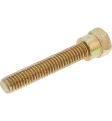 Briggs und Stratton Bolt – 578647MA