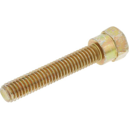 Briggs und Stratton Bolt – 578647MA