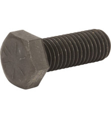 Briggs und Stratton Bolt – 770136