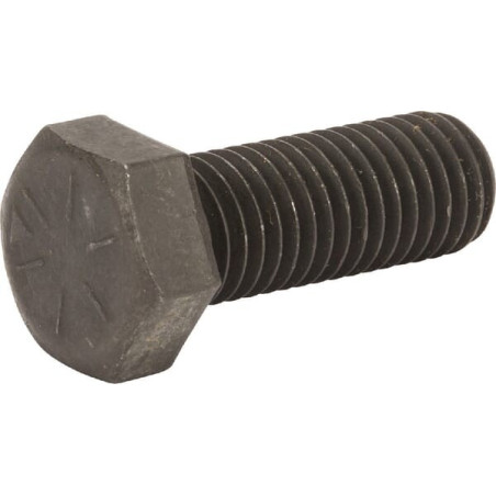 Briggs und Stratton Bolt – 770136