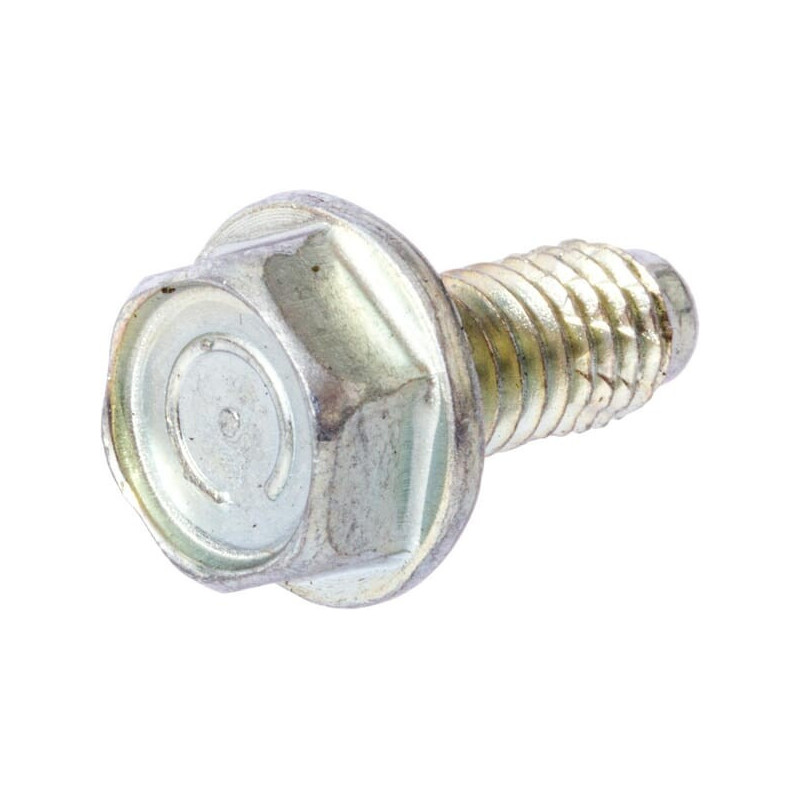 Briggs e Stratton Bolt-710023