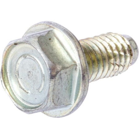 Briggs e Stratton Bolt-710023