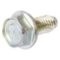 Briggs e Stratton Bolt-710023