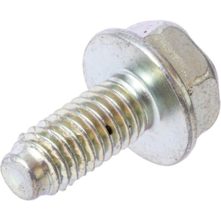 Briggs und Stratton Bolt – 710023