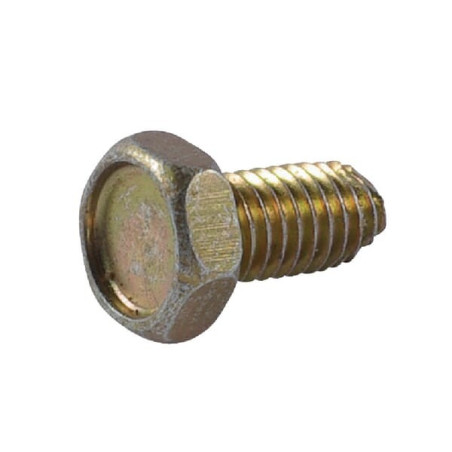 Briggs und Stratton Bolt – 691683