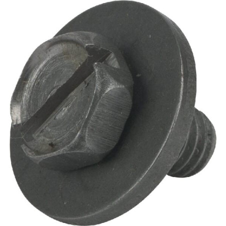 Briggs e Stratton Bolt-691082