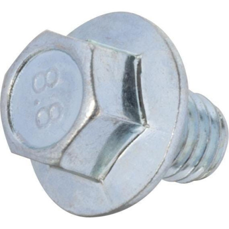 Briggs und Stratton Bolt – 590683