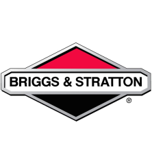 Wp20Bsx Briggs et Stratton - WP20BSX