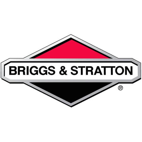 Wp20Bsx Briggs et Stratton - WP20BSX