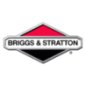 Spazzole per avviamento Briggs e Stratton - 391705