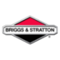 Válvula Briggs e Stratton - 296676