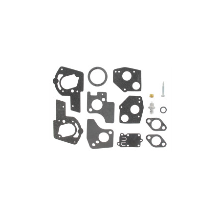 Kit de carburador Briggs y Stratton - 495606 - 494624