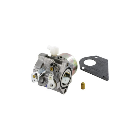 Carburador Briggs y Stratton - 495778