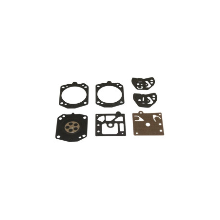 Kit Briggs et Stratton - 495837