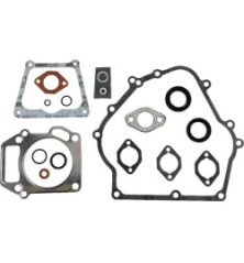 Kit Briggs y Stratton - 715124