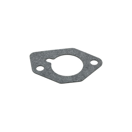 Joint Briggs et Stratton - 793412