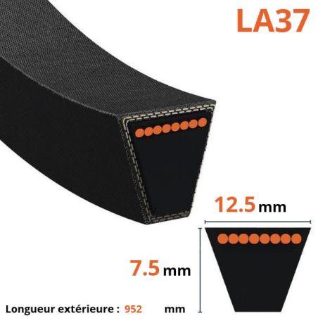 Cinto trapezoidal liso - Mitsuboshi - LA37