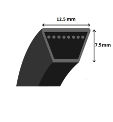 Cinto trapezoidal liso - Mitsuboshi - LA52