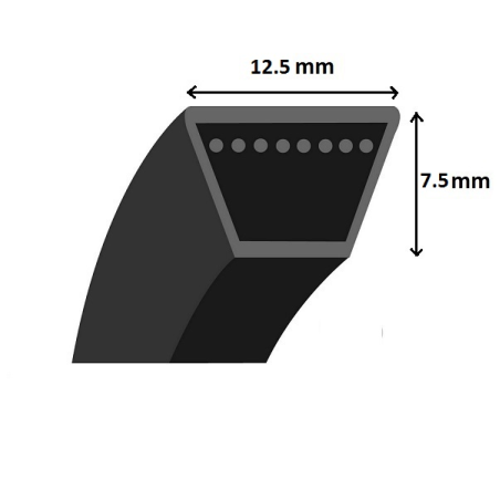 Cinto trapezoidal liso - Mitsuboshi - LA52