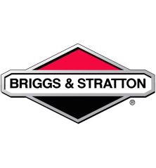 Carburador de motor Briggs y Stratton - 846055