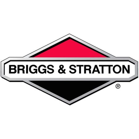 Carburador de motor Briggs y Stratton - 846055