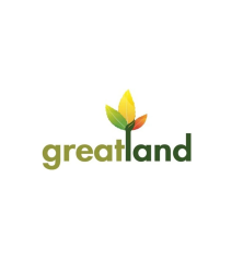 Filtre à air Greatland - GC305616313