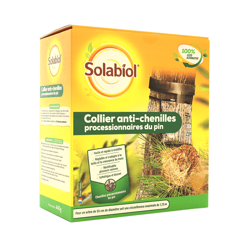 Video des Raupenhalsbandes des Solabiol-Kiefernprozessionsspinners Jardin Affaires